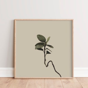 Square Wall Art Print Modern Country Wall Decor Boho Nature Wall Art Minimalist Plant Photography Printable Plant Art Tan, Taupe image 1