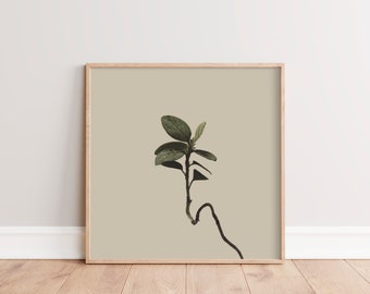 Square Wall Art Print | Modern Country Wall Decor | Boho Nature Wall Art | Minimalist Plant Photography | Printable Plant Art | Tan, Taupe