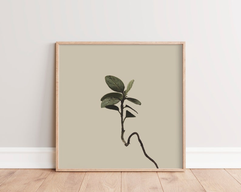 Square Wall Art Print Modern Country Wall Decor Boho Nature Wall Art Minimalist Plant Photography Printable Plant Art Tan, Taupe image 1