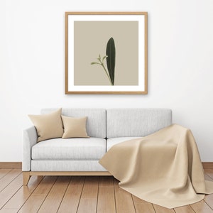 Minimal Botanical Art Printable Plant Art Rustic Country Wall Decor Plant Photography Instant Download Square Boho Wall Art image 3