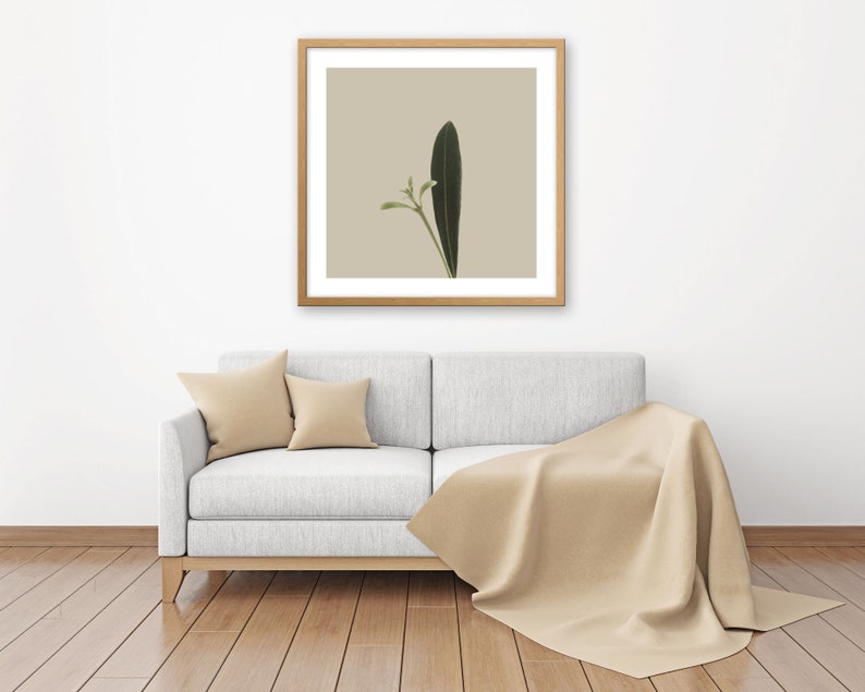 Minimal Botanical Art Printable Plant Art Rustic Country Wall Decor Plant Photography Instant Download Square Boho Wall Art image 3