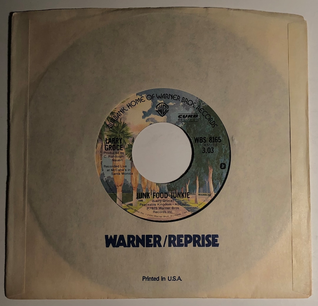 Larry Groce / Junk Food Junkie / WB 1975 45rpm / NM Etsy