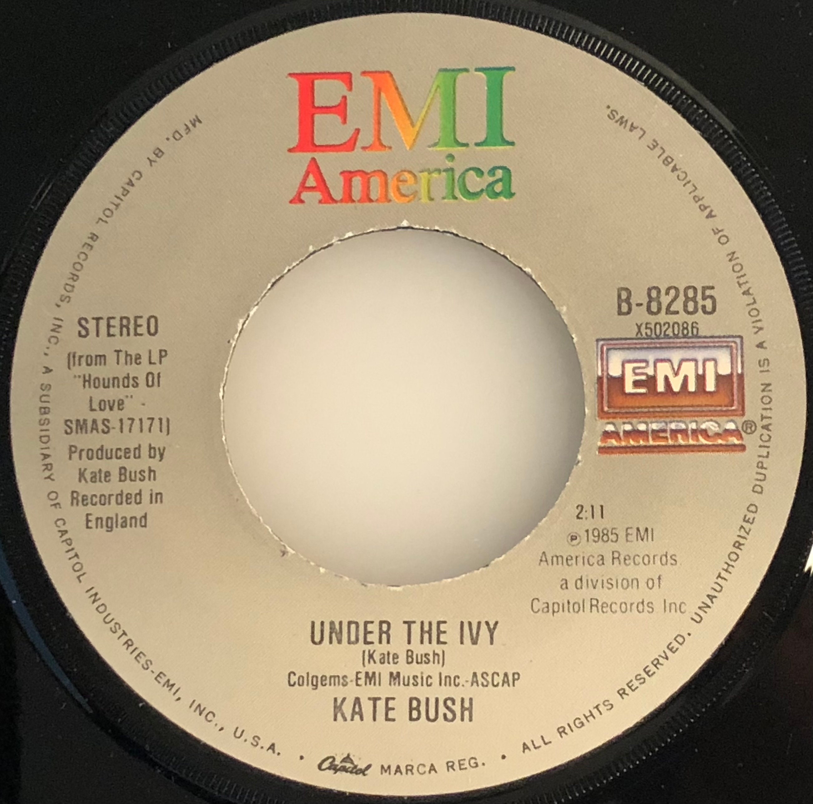Kate Bush - Running up That Hill US 45 & Picture Sleeve (mint