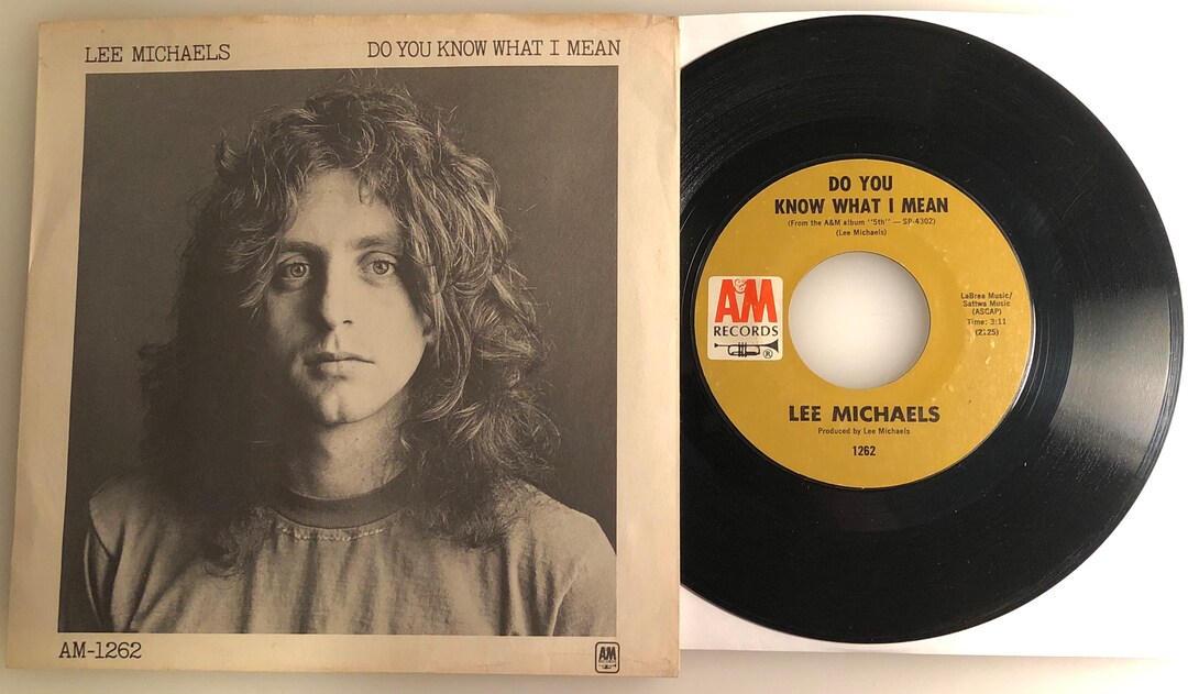 Lee Michaels Do You Know What I Mean A M 1971 45 W PS NM Etsy Lee michaels do you know what i mean a m 1971 45 w ps nm etsy