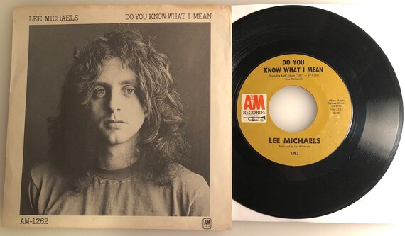 Lee Michaels / Do You Know What I Mean / A&M 1971 45 W PS / NM - Etsy