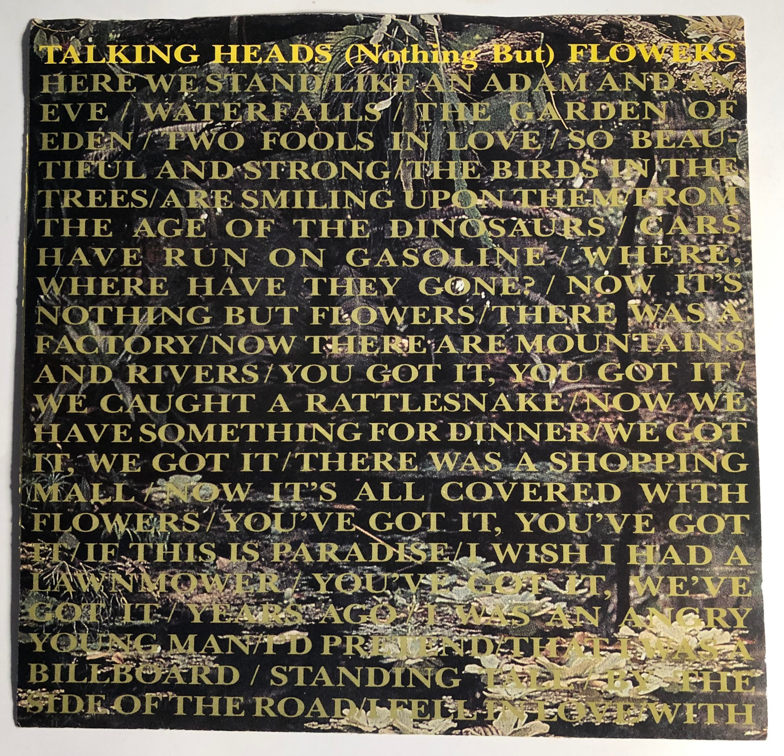 トーキング・ヘッズ / Nothing But Flowers and Ruby Dear / 45回転