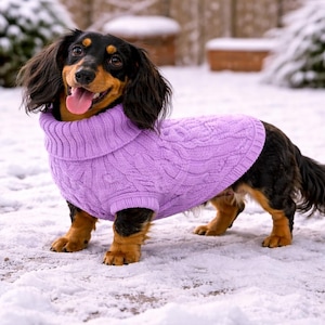 Puede incluir: Un perro salchicha con un suéter de punto trenzado lavanda está en la nieve. El perro tiene pelaje negro y marrón y una expresión feliz. El suéter tiene un cuello alto.