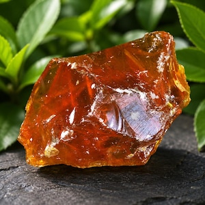 Pode incluir: Um close-up de uma pedra preciosa translúcida de cor âmbar com uma superfície áspera e irregular. A pedra tem um tom quente e dourado com áreas de laranja e marrom mais escuros. A folhagem verde fornece um fundo contrastante.