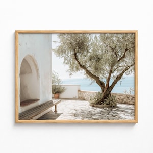 Stampa mediterranea, cortile con ulivi in Grecia, isola greca estiva (stampa digitale da parete)