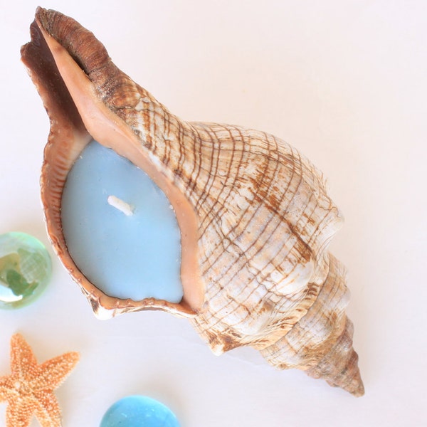 Light Blue Shell Candle with Pomegranate Tangerine Scent