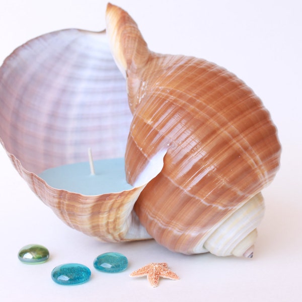 Extra Large Seashell Candle for Beach Wedding