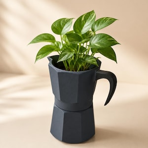 Könnte beinhalten: Ein dunkelgrauer, geometrisch geformter Pflanztopf in Form eines Espressokochers, gefüllt mit einer leuchtend grünen Pflanze. Die Pflanze hat große, herzförmige Blätter mit hellgrünen und gelben Verzierungen. Der Pflanztopf hat einen Griff und ein klassisches Design.