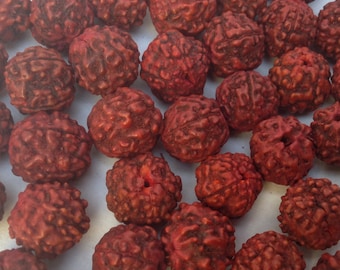 8mm  Rudraksha  (Rudraksh) Traditional Red Stained Holy Beads from Vrindavan Wholesale Bulk