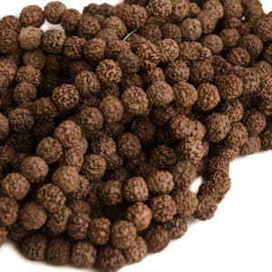 Natural Rudraksha 12mm 5 Strands 108 Beads per Strand 540 Beads 5 Mukhi Face RB0012N