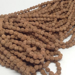 8mm Rudraksha  (Rudraksh) Shivas Tears Natural Seed Beads 8mm from Vrindavan Wholesale Bulk Single