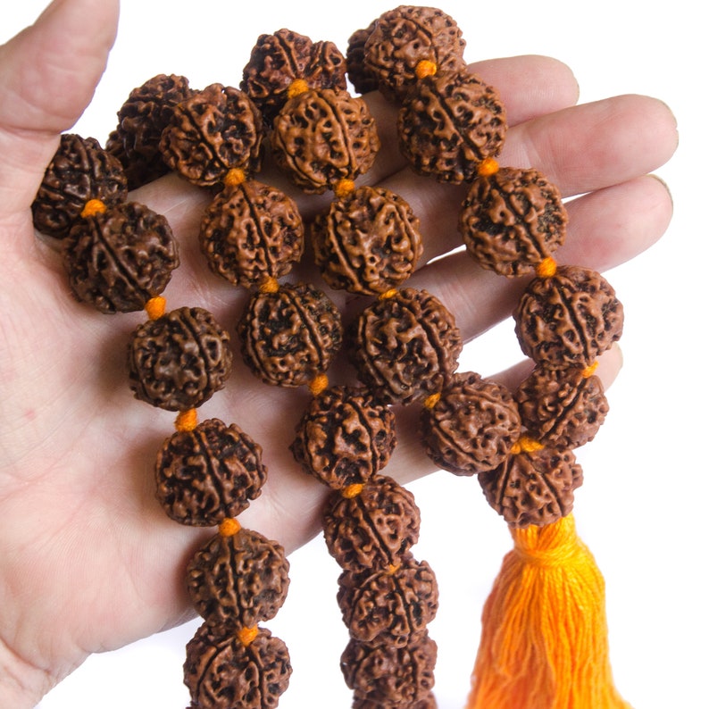 Rudraksha Seed Beads 54 Beads Hand Knotted Mala 15/20mm Etsy Canada