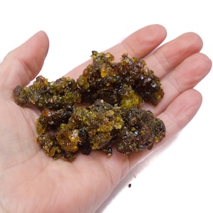 Guggul Resin 30g/1oz Organic Commiphora wightii Myrrh-like Fragrance for Incense Arti and Ayurvedics