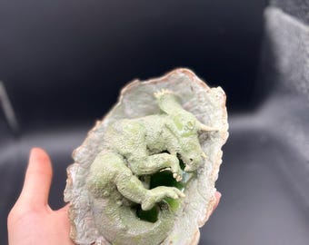 Handgemaakte babytriceratops-jongen – Dinosaur Egg Diorama, handgeschilderde verzamelsculptuur