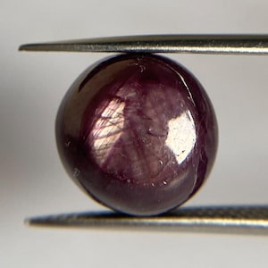 May include: A round, deep purple star ruby gemstone with a smooth, polished cabochon surface. The stone displays a distinct six-rayed star effect across its centre, held securely between the two metal tips of a pair of silver-toned tweezers.