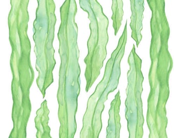 Long Watercolor Seaweed Wall Decals, Underwater Ocean Kids Sea Weed Wall Stickers