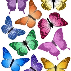 Butterfly Wall Decals ~Colorful Butterfly Girls Wall Sticker