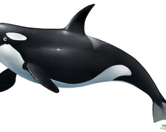 Killer Whale Wall Decal
