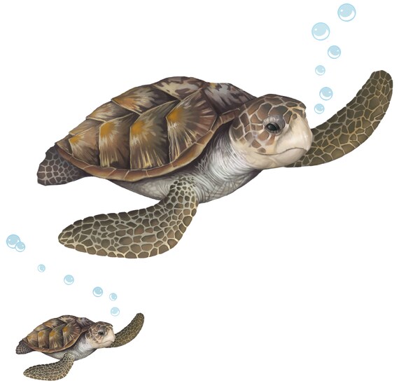 Sea Turtle Wall Decal Ocean Undersea Animal Tortoise Sticker For Kids Room Decor Boys Girls Toddler Baby Nursery Bedroom Playroom - Baby Sea Turtles Wall Decals Sea Turtle Wall Decal Ocean Undersea Animal Tortoise Sticker For Kids Room Decor Boys Girls Toddler Baby Nursery Bedroom Playroom - Baby Sea Turtles Wall Decals