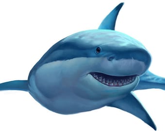 Kids Wall Decals, Great White Shark Wall Decal