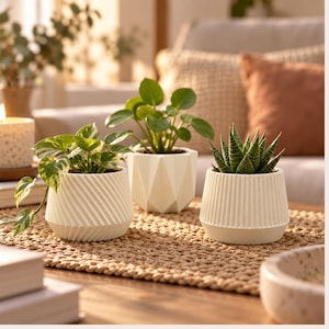 Peut inclure: Trois pots de plantes en céramique blanche aux textures distinctes contenant de petites plantes vertes. Le pot de gauche a un motif côtelé diagonal, le pot central présente un design géométrique à facettes et le pot droit affiche des lignes cannelées verticales.