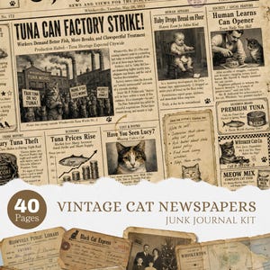 May include: A vintage-style junk journal kit featuring 40 pages of printed ephemera. The main sheet is a newspaper titled The Daily Meow, dated May 28, 1913, with cat-themed headlines, illustrations, and advertisements. Includes aged paper documents.