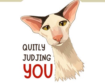 Cat Shirt PNG, Original Artwork, Quitly Judging You Sassy Clipart Digital Download Sticker, Kitty Sublimation, Commercial Use