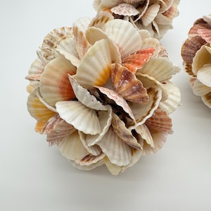 May include: A spherical decorative object constructed from numerous overlapping natural seashells in shades of cream, tan, and soft orange. The shells are arranged in a dense, layered pattern to form a rounded, textured ball shape.