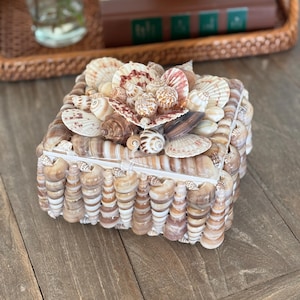 Shell Box, Handcrafted Seashell Box, Luxury Coastal Home Decor, Statement Shell Art, Coffee Table Decor, Beach House Styling