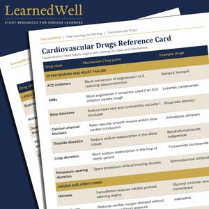 Könnte beinhalten: Eine weiße Referenzkarte mit dem Titel Cardiovascular Drugs Reference Card von LearnedWell, die eine Tabelle mit Spalten für Wirkstoffklasse, Wirkmechanismus und Beispiele enthält. Der Text umfasst Hypertonie und Angina.