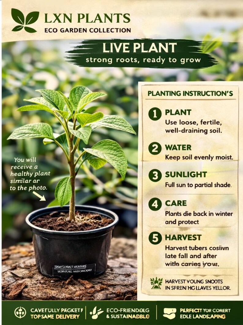 May include: A live plant in a black pot with green leaves. The image includes text that reads "LXN PLANTS ECO GARDEN COLLECTION" and "LIVE PLANT strong roots, ready to grow." Planting instructions are also visible.