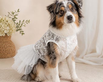 Abito da sposa per cani, abito da festa in tulle a rete per cani e gatti, costume da sposa in pizzo e perle, abito da matrimonio per animali domestici, taglie XS-XXL