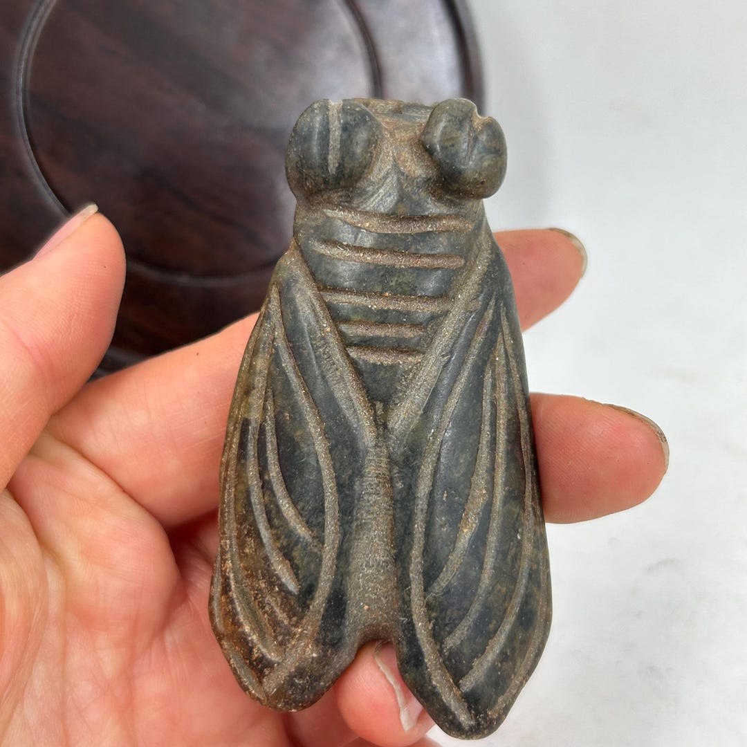 Hand Carved Black Obsidian Cicada Statue Figurine - Small Crystal ...