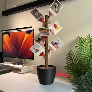 Könnte beinhalten: Ein brauner Foto-Baum-Display mit einem schwarzen Topf-Sockel. Der Baum hat rosa und rote blütenförmige Clips, die mehrere quadratische Fotos halten. Die Fotos zeigen verschiedene Bilder. Der Baum steht auf einem weißen Schreibtisch.