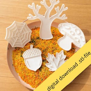 Op de afbeelding: Een set van vijf witte plastic uitsteekvormpjes in de vorm van een boom, een spinnenweb, een paddenstoel, een eikel en een esdoornblad. De vormen liggen op een ronde schaal gevuld met oranje en gele rijst. Tekst: digital download .stl-file.