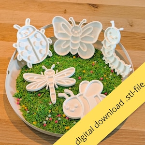 Può includere: Una collezione di formine per biscotti a forma di insetti in plastica bianca, tra cui coccinella, farfalla, bruco, libellula e ape, disposte su granelli verdi. L'immagine include il testo "digital download .stl-file".