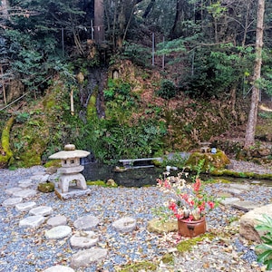 May include: A serene Japanese garden scene featuring a stone lantern, stepping stones, and a small pond. Lush greenery and trees surround the garden, with a small waterfall cascading down a moss-covered rock face. A pot of red and white flowers adds a pop of color.