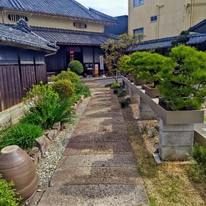 Pode incluir: Um caminho de pedra atravessa um jardim japonês, ladeado por vegetação exuberante e bonsais em vasos retangulares. Edifícios tradicionais com telhados de telha escura e detalhes em madeira são visíveis ao fundo.