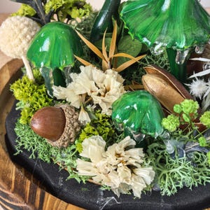Pu&ograve; includere: Un terrario dettagliato con sculture di funghi verdi lucidi, fiori secchi e una ghianda. La composizione comprende varie tonalit&agrave; di muschio e fogliame verde, creando una scena di foresta in miniatura. La base &egrave; una superficie scura e strutturata.