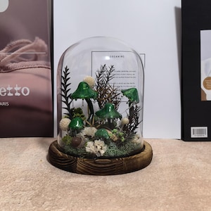Pu&ograve; includere: Una campana di vetro con base in legno ospita una scena forestale in miniatura. La scena comprende figurine di funghi verdi, piante secche e fiori bianchi. La campana poggia su una base rotonda in legno marrone scuro. La parola "DREAMING" &egrave; visibile.