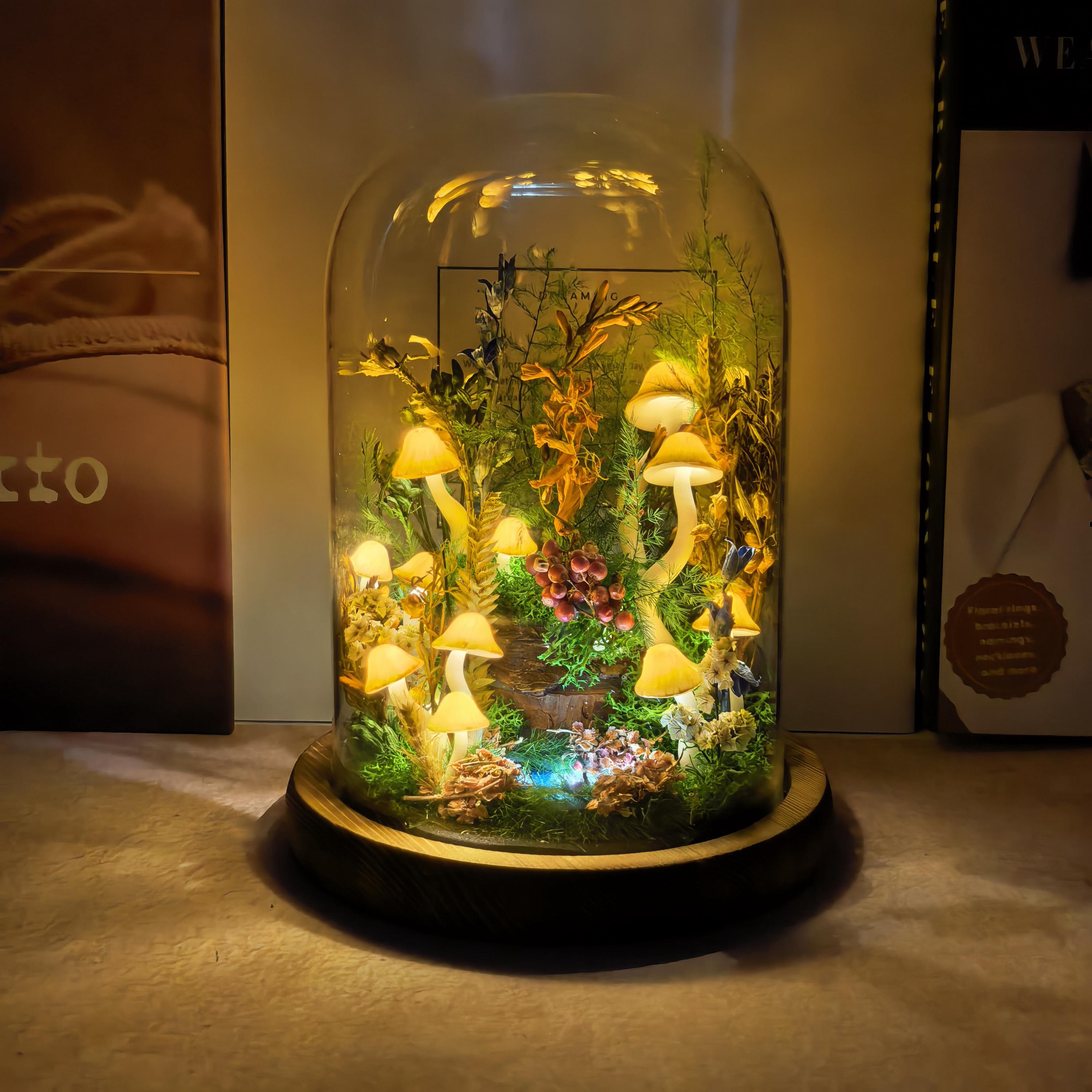 Natural Display Stands