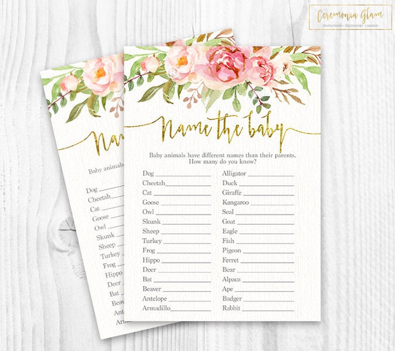 Name The Baby Floral Game Baby Shower Name The Baby Game Etsy
