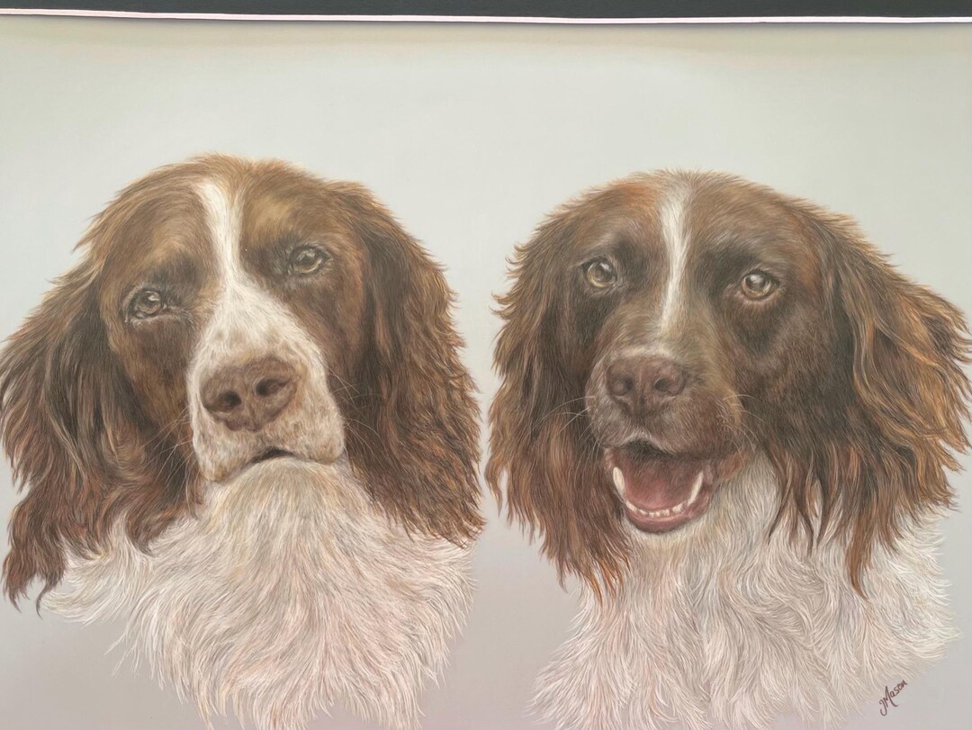 Two Dogs Portrait Custom Double Dog Portrait From Photo | Two Dogs Pet Portrait ...