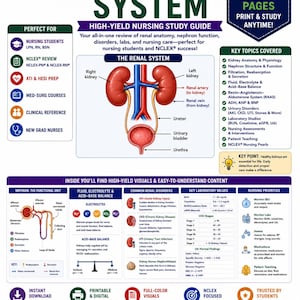 Pode incluir: Um guia de estudo de enfermagem digital intitulado Renal System, com um diagrama central dos rins, ureteres e bexiga. Inclui seções sobre a função do néfron, equilíbrio de fluidos e eletrólitos e distúrbios renais comuns.