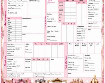 Labor and Delivery Nurse Report Sheet Bundle | OB GYN Nursing Brain Printable | Mother Baby Newborn Postpartum L&D Clinical Sheet | GradRN