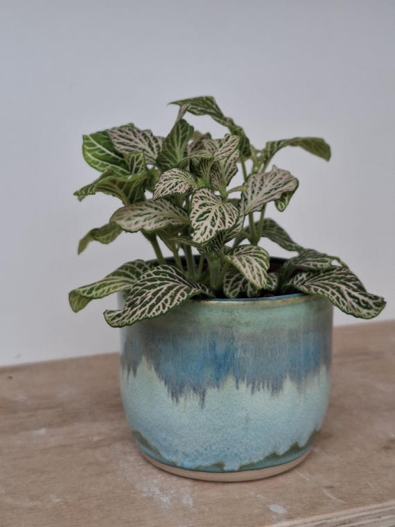 Handmade Ceramic Mini Plant Pot